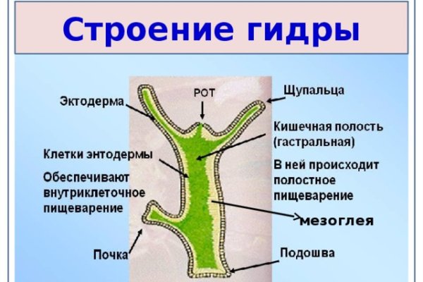 Кракен не работает сайт