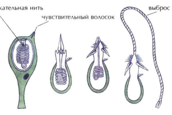 Кракен это современный даркнет маркет